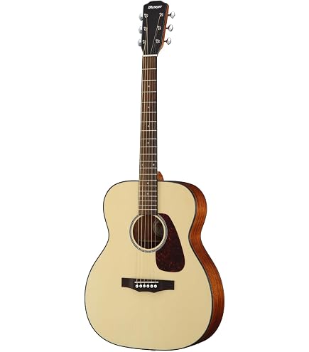Amazon.co.jp: Morris モーリス Perfomers Edition M-011 HS